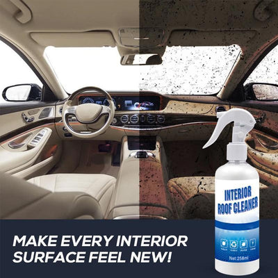 Car Interior Cleaner