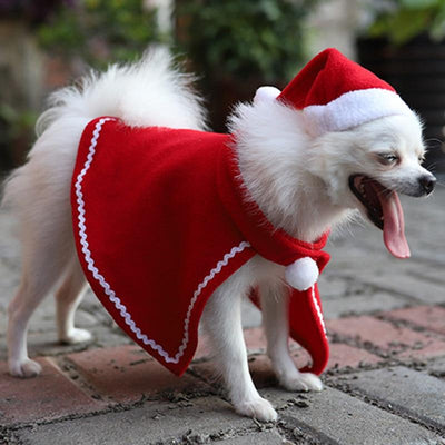 Christmas Dog Cloak & Hat