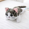 Cartoon Cat Plushie