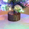 50cm LED Mini Christmas Tree Lighting String PVC Desktop Small Tree Table Ornaments Home Party Decoration Christmas Supplies