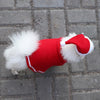 Christmas Dog Cloak & Hat