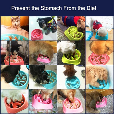 Anti-Choke Pet Bowl