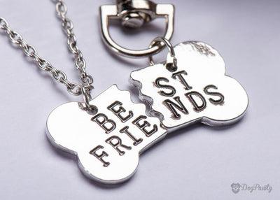 Best Friends Necklace & Collar Tag