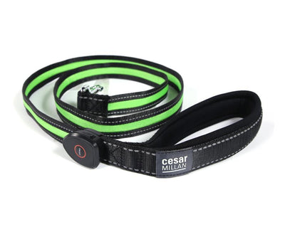 Cesar Millan Light Bright Collar & Leash