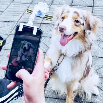 BriteDoggie Pet Selfie Stick