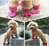 Adorable Dog Booties