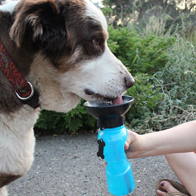 BottleDoggy Portable Drinking Water Bottle