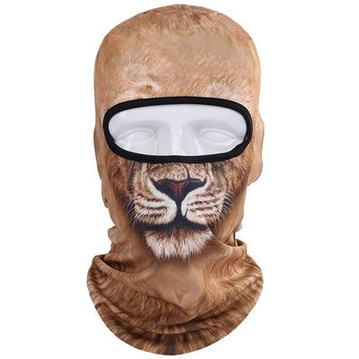 Balaclava Full Face Mask