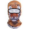 Balaclava Full Face Mask