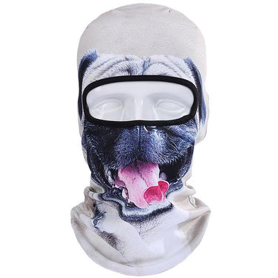 Balaclava Full Face Mask