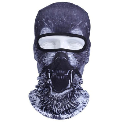 Balaclava Full Face Mask