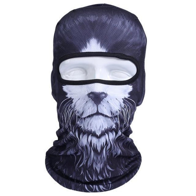 Balaclava Full Face Mask