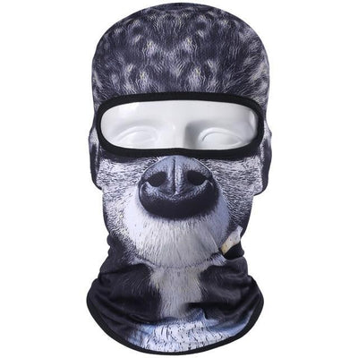 Balaclava Full Face Mask