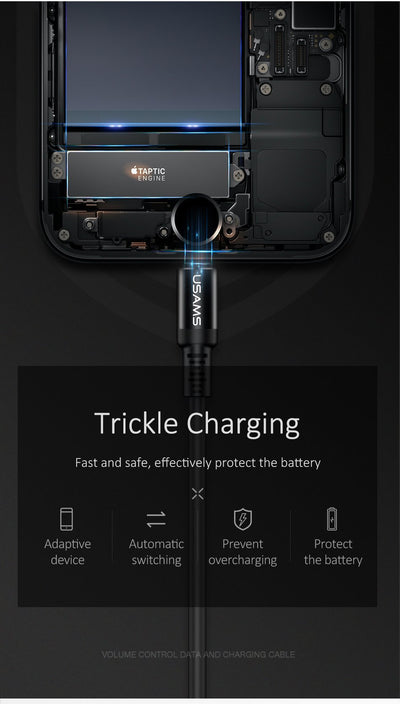 Christmas Lights Themed Lightning Cable