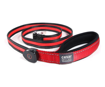 Cesar Millan Light Bright Collar & Leash